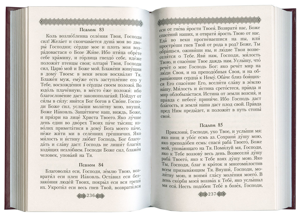 Православный молитвослов для мирян полный по уставу Церкви - фото №8