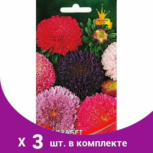 Семена цветов Астра помпонная 'Элизабет' Дом семян, смесь, О, 100 шт (3 шт)