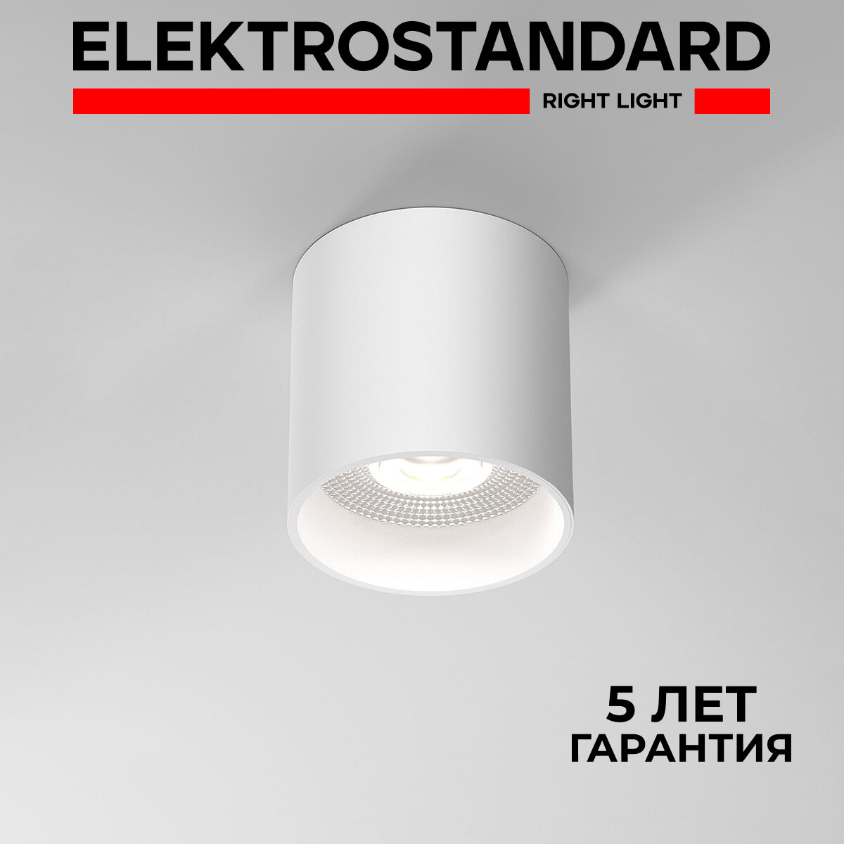 Спот / Накладной потолочный светодиодный светильник Elektrostandard Orson 25034/LED, 10W, 4200K, цвет белый