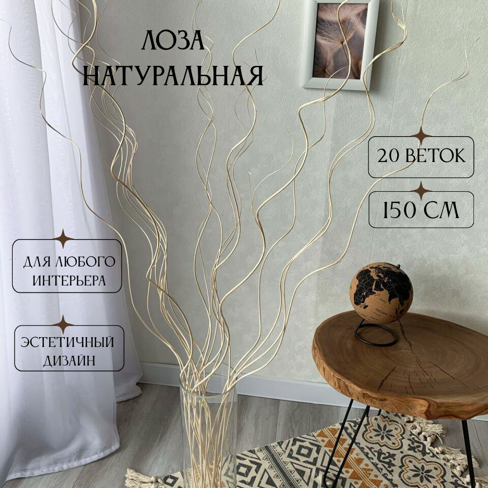 Сухоцвет для декора ветки лоза натуральная букет 20 штук, высота 150 см., белые