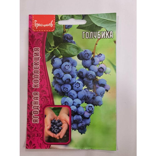 Голубика 0,05 г редкие семена ( 2 упаковки в заказе)