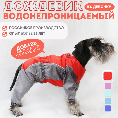 Дождевик комбинезон самка 20