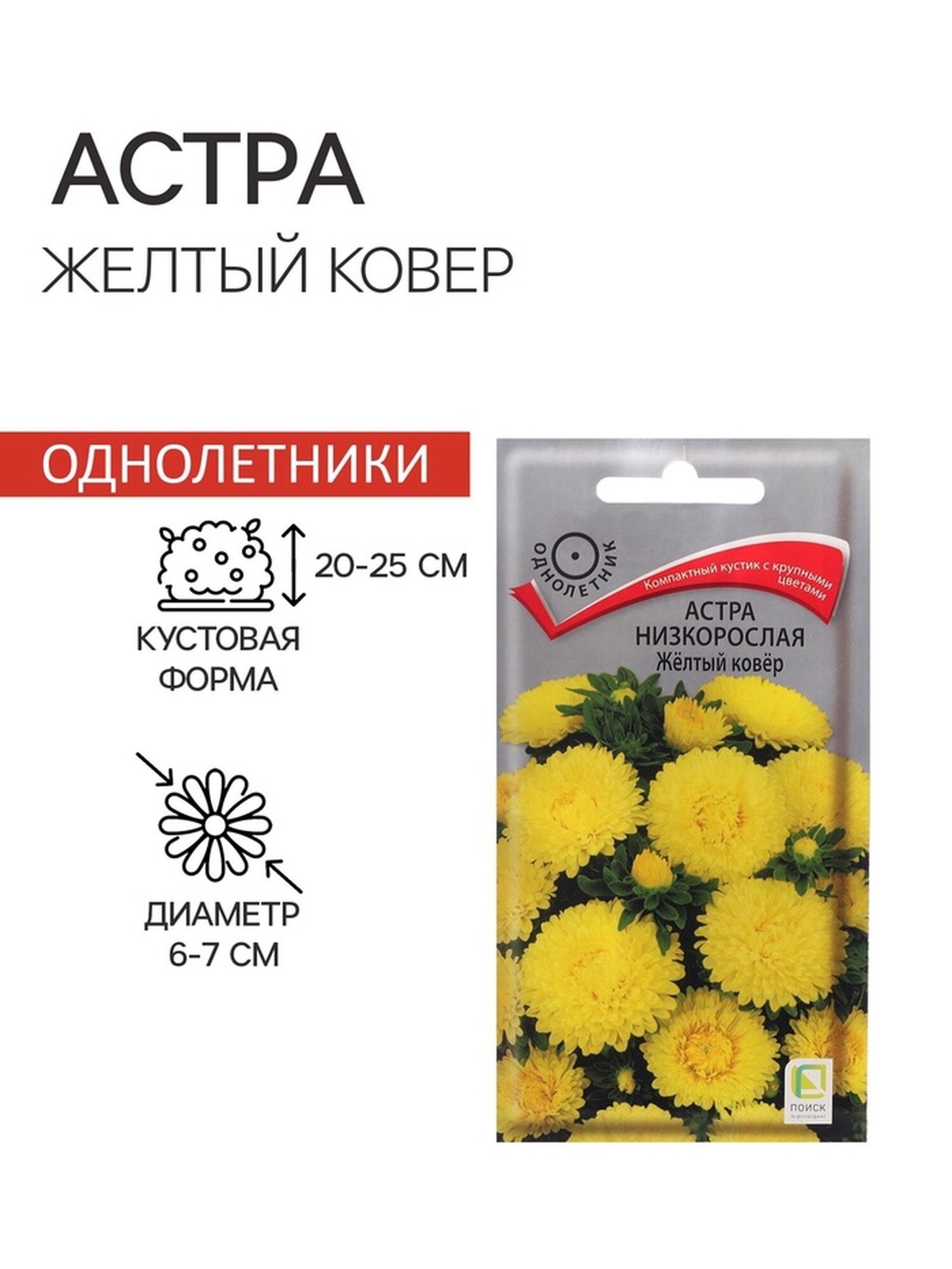 Семена цветов Астра низкорослая 
