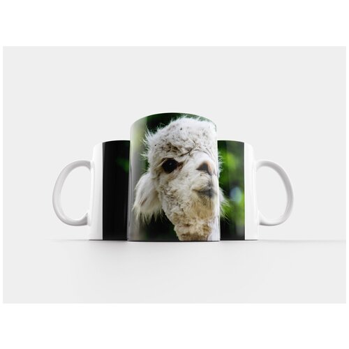 фото Кружка "альпака, животные, шерсть" 320 мл lotsprints