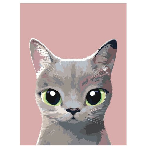 Картина по номерам, Живопись по номерам, 45 x 60, A515, маленький котёнок, большие зеленые глаза, животное, портрет, изолированный фон