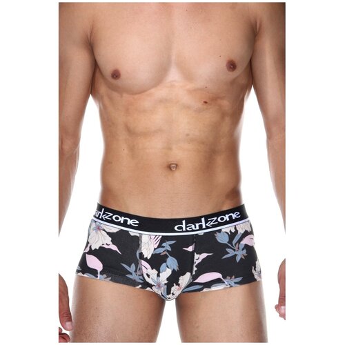 фото Мужские трусы хипсы темно-серые с принтом darkzone dzn3312 m (44)
