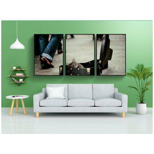 фото Набор модулных постеров для интерьера "кот, животное, домашние животные" 60x90 см. в тубусе, без рамки lotsprints