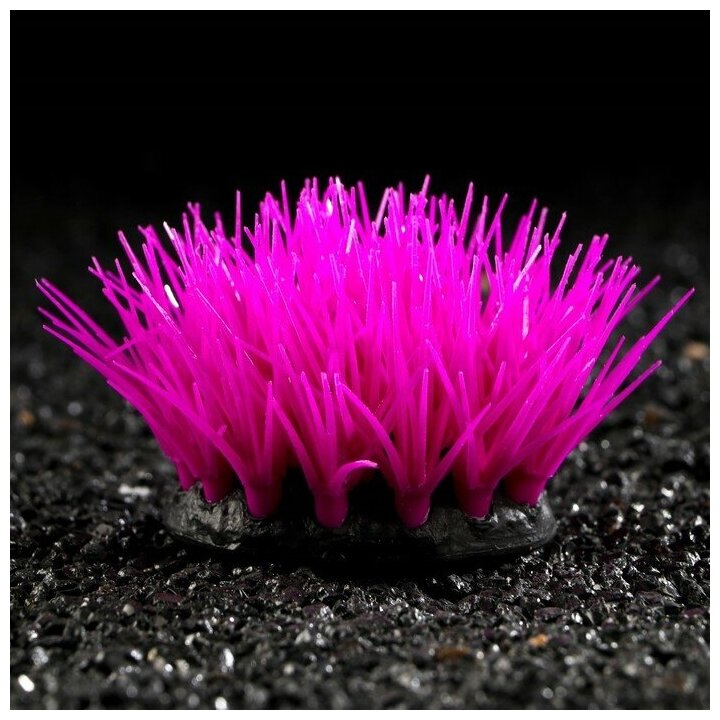 Растение силиконовое аквариумное, светящееся в темноте, 16 х 11 см, фиолетовое 7108791 . - фотография № 1