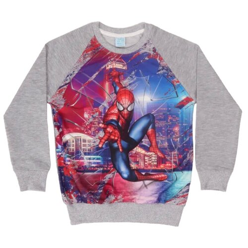 Толстовка, размер 146/152, серый