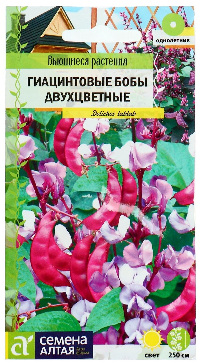 Семена цветов Гиацинтовые бобы "Двухцветные" О цп 1 г