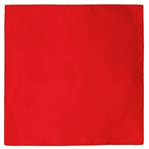 фото Карманный платок greg цвет красный