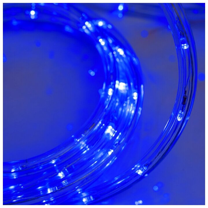 Luazon Lighting LED шнур 10 мм, круглый, 5 м, чейзинг, 2W-LED/м-24-220V, с контр. 8р, синий - фотография № 3