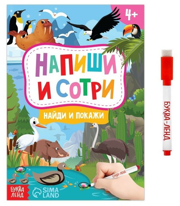 Книжка с маркером «Пиши-стирай. Найди и покажи», 12 стр.