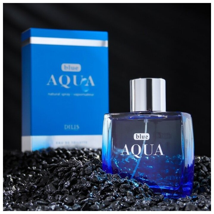 Туалетная вода мужская Blue Aqua, 100 мл