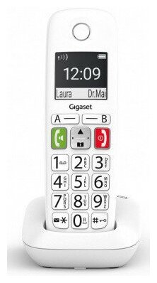 Радио Телефон Dect Gigaset E290 SYS RUS белый АОН