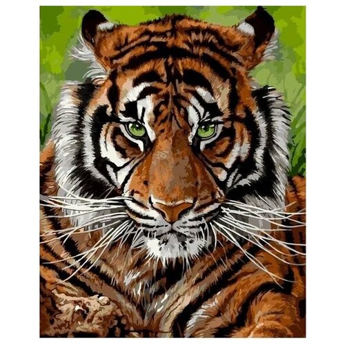 Картина по номерам тигр кошка пейзаж на подрамнике 40х50см VA-2932