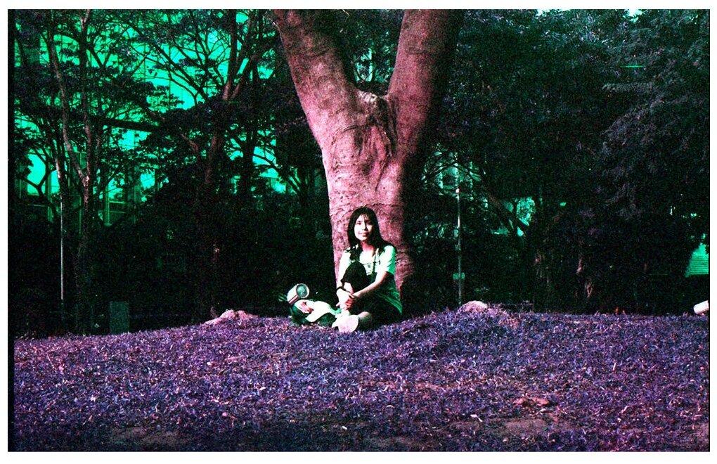 Lomography purple примеры фото
