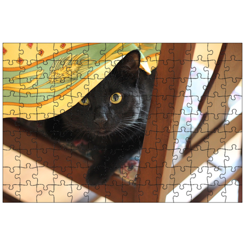фото Магнитный пазл 27x18см."кошка, черный кот, стул" на холодильник lotsprints