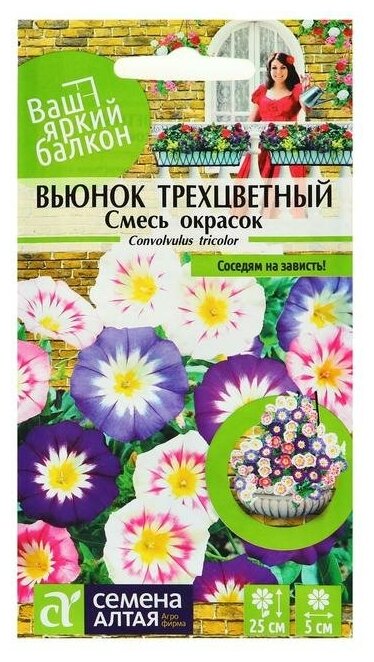 Семена цветов Вьюнок Смесь окрасок трехцветный О цп 05 г