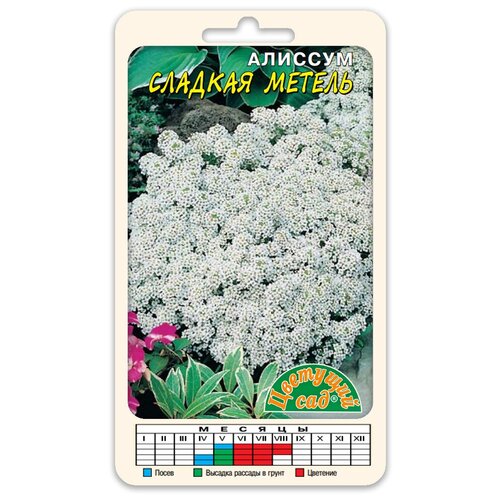 Цветы Алиссум Сладкая Метель аромат меда (Семена Цветущий сад 0,1 г)
