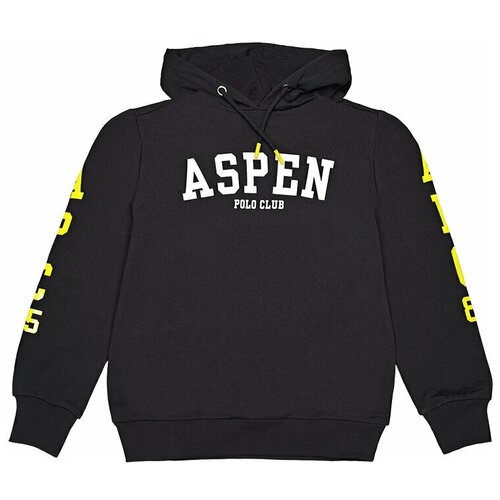 Худи для мальчика Aspen Polo Club 1035F0446 цвет черный 10 лет