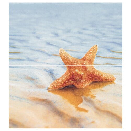 Dec Starfish 1 Panno (панно из 2-х шт) КПН16Starfish1 50х45
