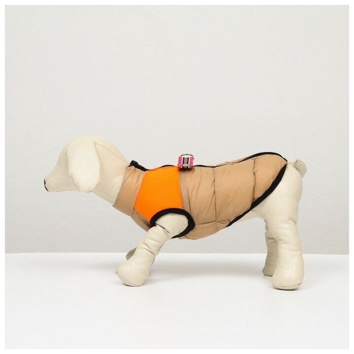 Куртка для собак на молнии, размер 8 (ДС 23 см, ОГ 30, ОШ 22 см), бежевая с оранжевым - фотография № 4