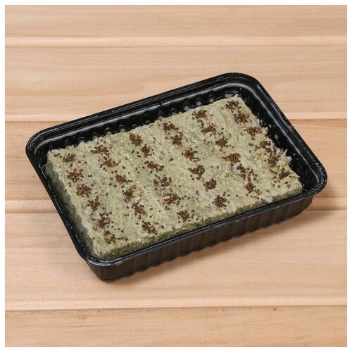 фото Набор для выращивания микрозелени «вырасти сам микрозелень», рукола, лоток 13 × 18 × 3 см, чёрный mikimarket