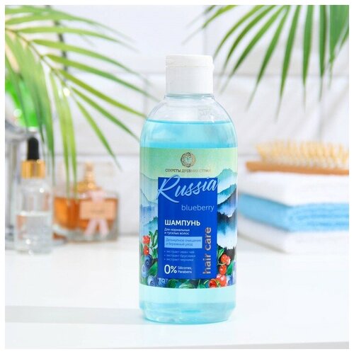 Шампунь для волос «Секреты древних стран» для нормальных и тусклых волос, 400 мл