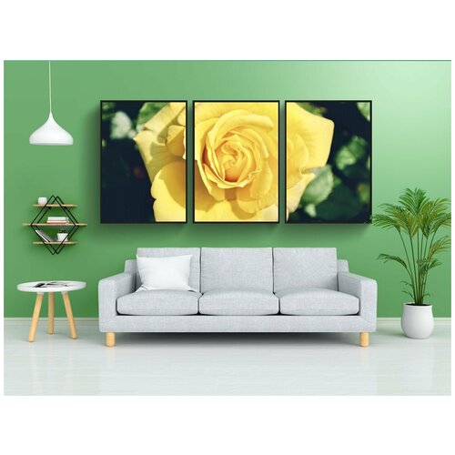 фото Набор модулных постеров для интерьера "роза, цвести, желтый" 60x90 см. в тубусе, без рамки lotsprints