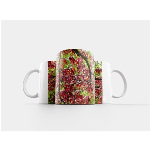 фото Кружка "красный японский клен, декоративное растение, клен японский" 320 мл lotsprints
