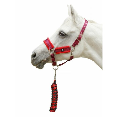 Sweethorse / Сет недоуздок плюс чомбур/FULL