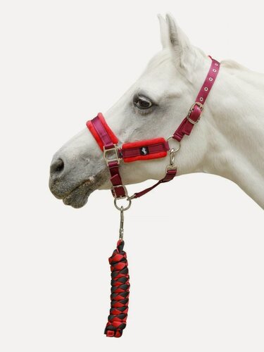 Изображение товара Sweethorse / Сет недоуздок плюс чомбур/FULL