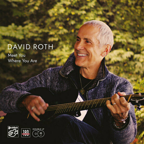 David Roth - Meet You Where You Are LP where are you tiger