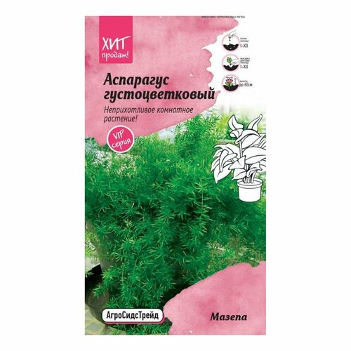 Семена Аспарагус густоцветковый Мазепа 5шт семена аспарагус кистистый робот 3 упаковки 2 подарка
