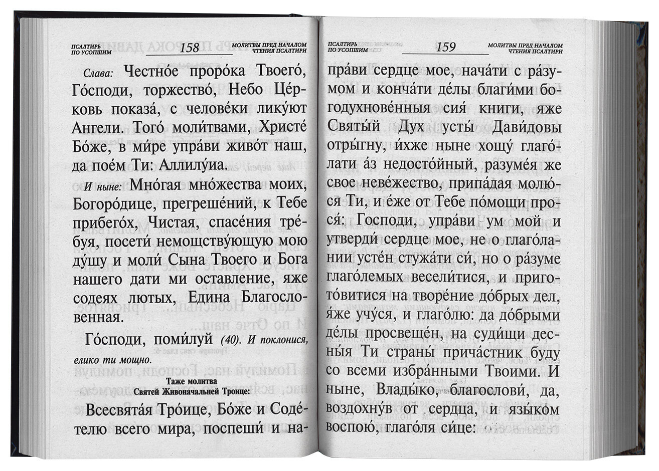 Псалтирь и каноны по усопшим для слабовидящих - фото №11