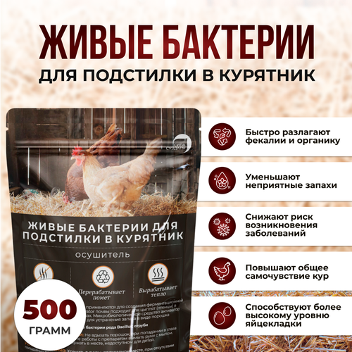 Живые бактерии 500 гр Сила Суздаля/ подстилка в курятник (для кур, индюков, гусей, уток)