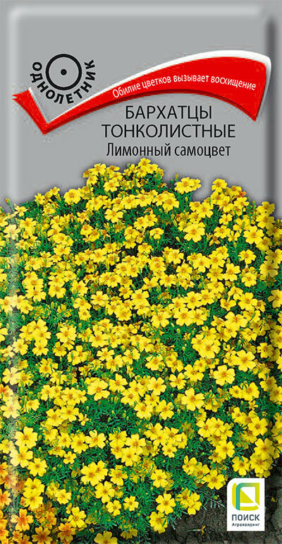 Семена Бархатцы тонк. Лимонный самоцвет 01г 20-30см (Поиск)