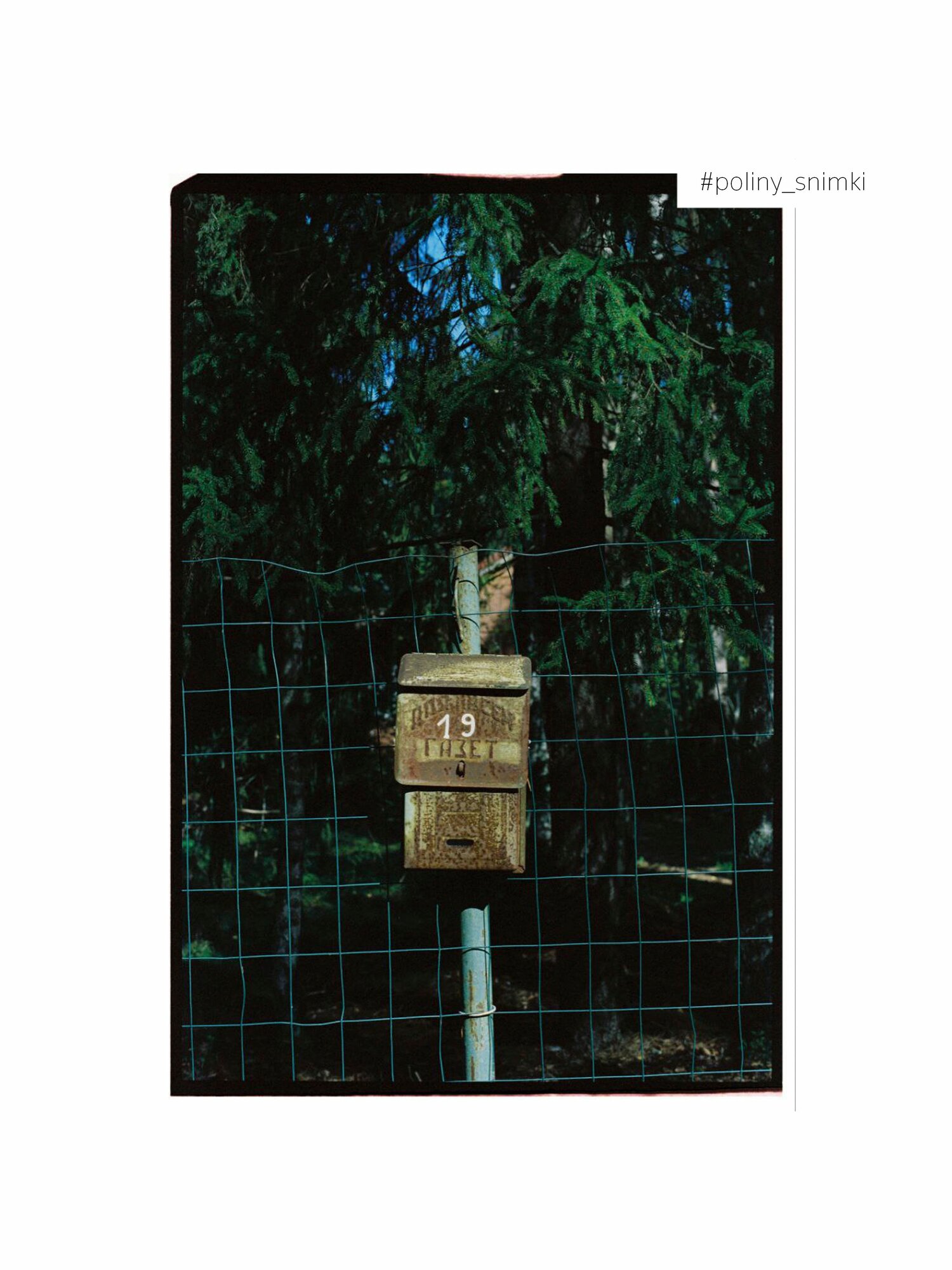 Фотопленка цветная Kodak Vision 2 500T Expression 200ISO 36 кадров — фото 1