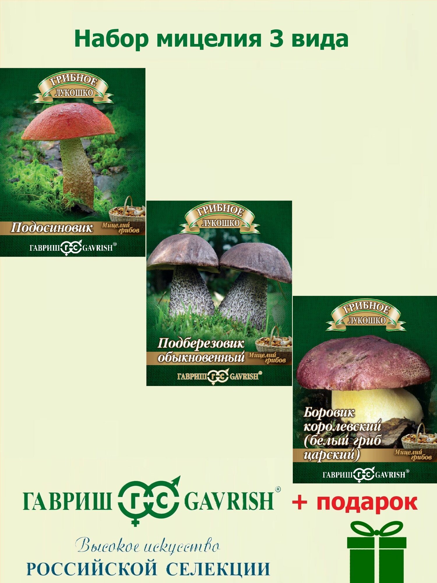 Набор Мицелий 3 вида (Боровик королевский Подберезовик Подосиновик) на зерновом субстрате Гавриш