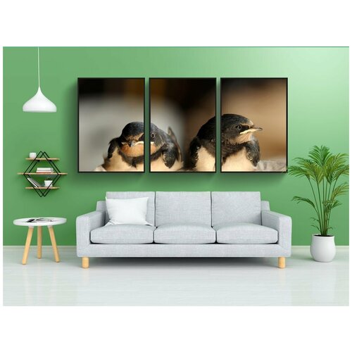 фото Набор модулных постеров для интерьера "птицы, глотать, ласточка" 60x90 см. в тубусе, без рамки lotsprints