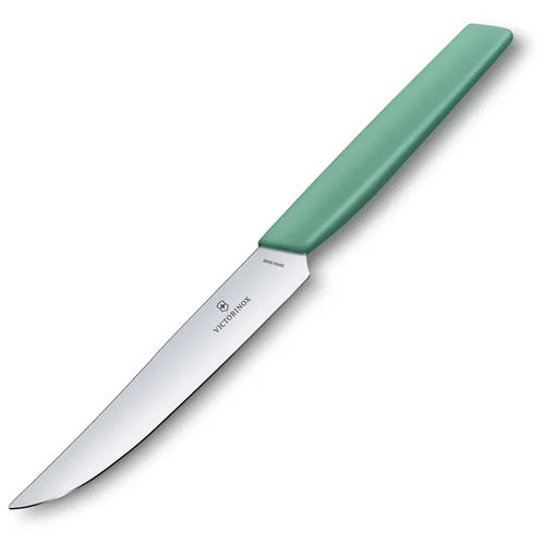 Victorinox Kitchen 6.9006.1241 Нож для стейка victorinox swiss modern, лезвие прямое с заостренным кончиком 12 см, зеленый