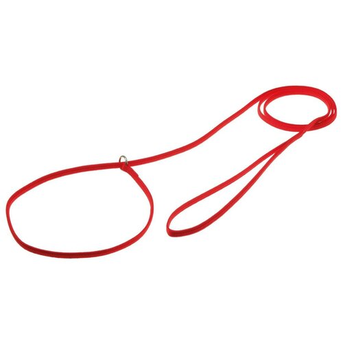 V.I.Pet. Поводок-удавка с кольцом (лента-чулок), цвет: красный, 5 мм x 120 см