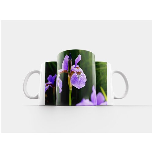 фото Кружка "косатки, сад, цветок" 320 мл lotsprints