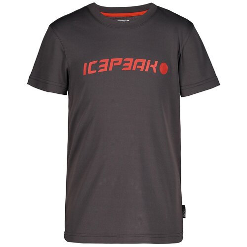 Футболка для активного отдыха детская Icepeak Kemberg Jr Granite (Рост:116)