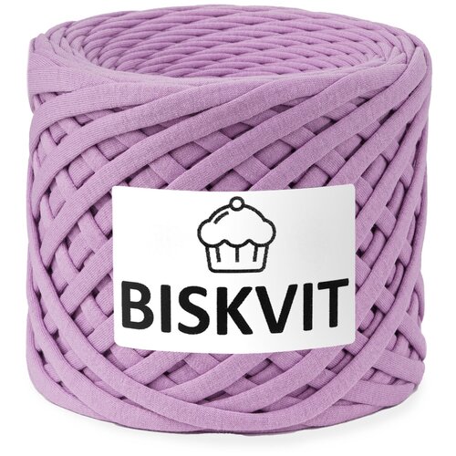 Трикотажная пряжа Biskvit (ирис) 1 шт. трикотажная пряжа biskvit петроль 1 шт