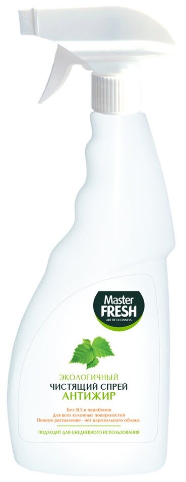 Master Fresh Чистящее средство Master Fresh, спрей, для кухни, 500 мл - фотография № 1