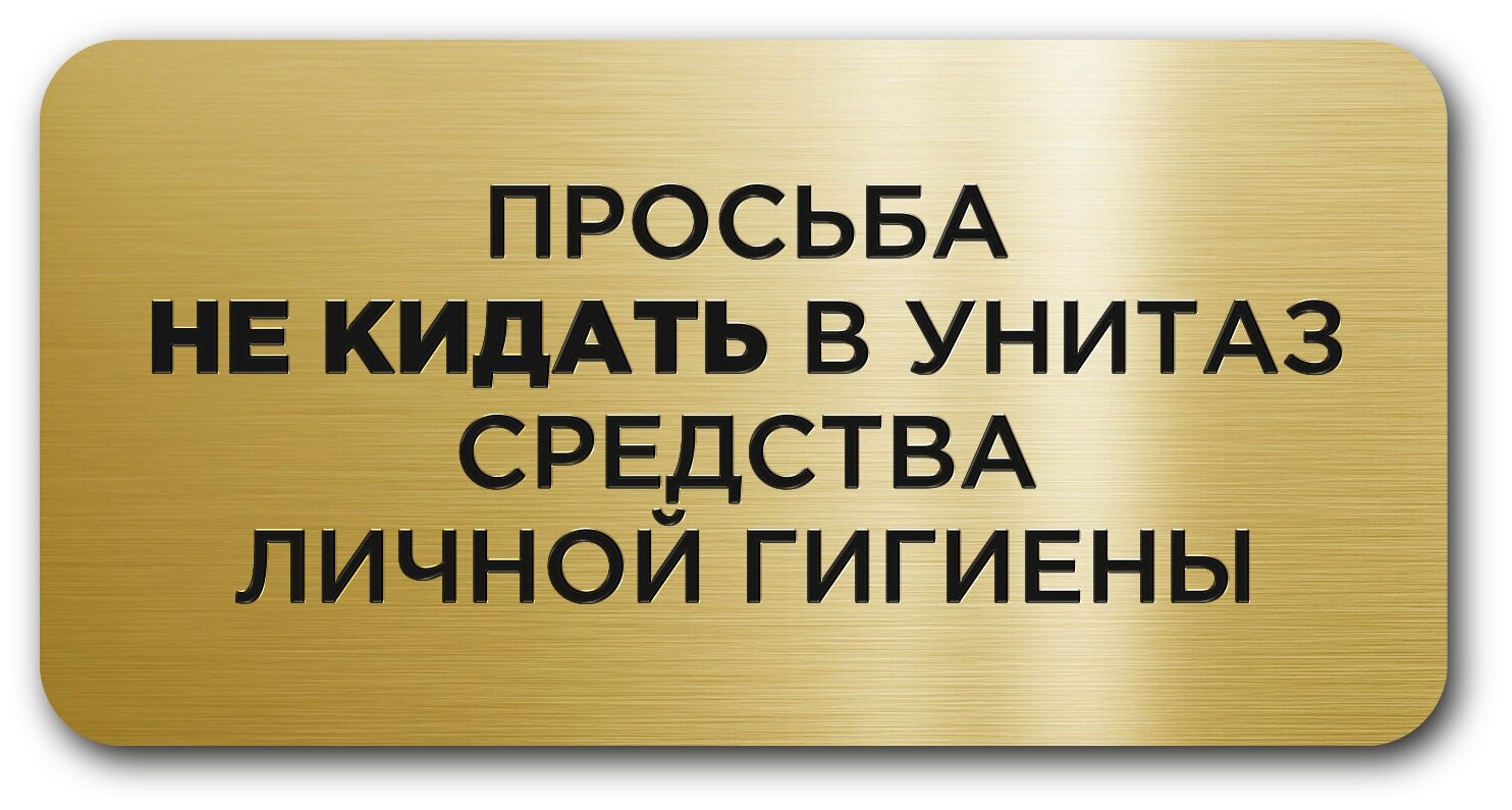 Табличка информационная CVT / Не бросайте мусор в унитаз /Размер 120х60мм/ Пластик / Табличка с лазерной гравировкой изображения / Прямоугольная /