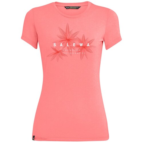 Футболка для активного отдыха Salewa Lines Graphic Women's Shell Pink Melange (EUR:40)