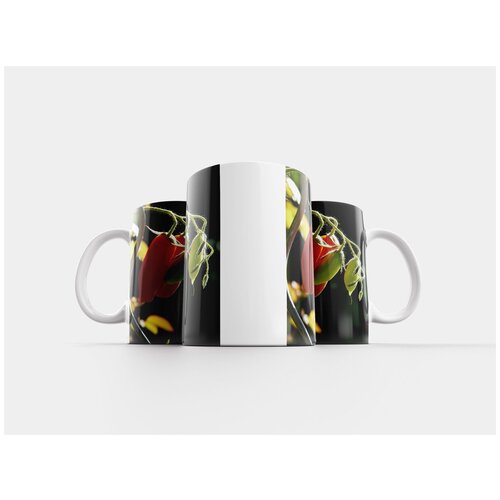 фото Кружка "помидор, куст помидор, овощи" 320 мл lotsprints